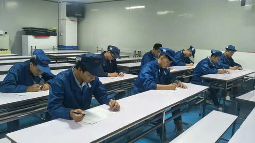 掌握職業(yè)技能，增值自我人生——第一工廠工程技術(shù)崗位評審認(rèn)證與信息技術(shù)咨詢服務(wù)解析