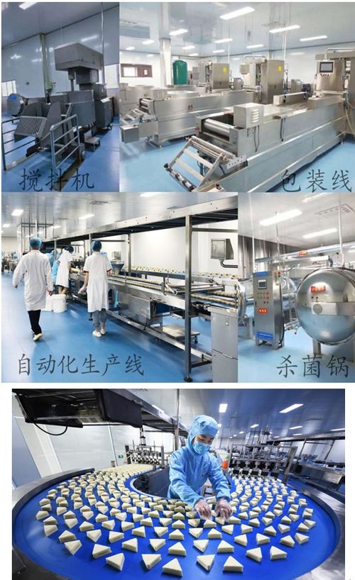 疫情不阻扶貧路 森樂食品保業(yè)增收與文物保護(hù)工程設(shè)計