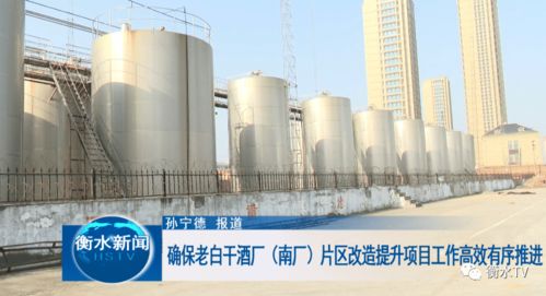 科學(xué)統(tǒng)籌與精心勘察 高效推進老白干酒廠南廠片區(qū)改造提升中的文物保護工程