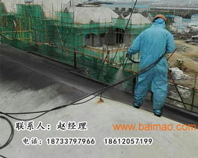 北京噴涂速凝防水涂料 技術(shù)轉(zhuǎn)讓、廠家直銷與網(wǎng)絡(luò)服務(wù)的一站式解決方案